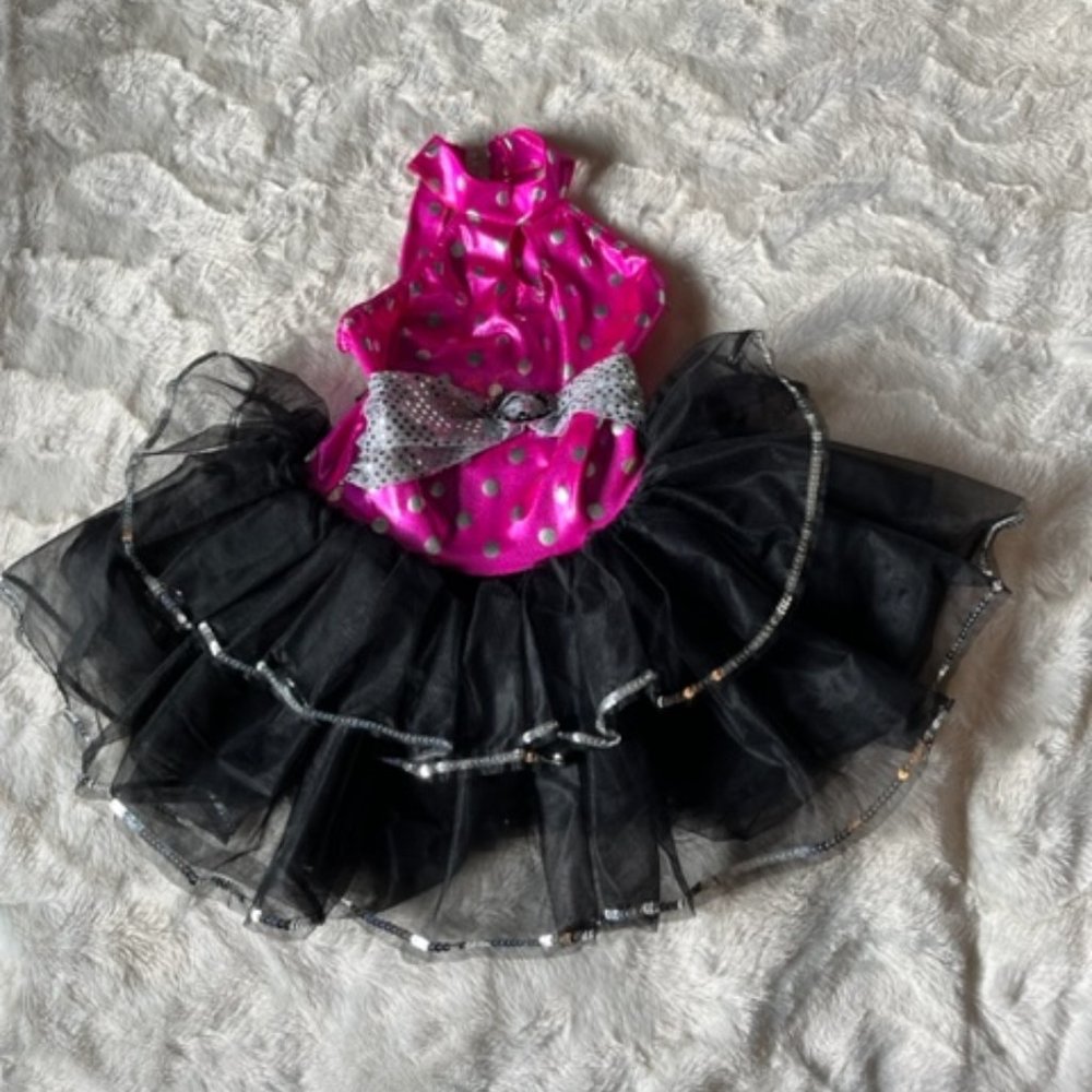 Costume Gallery Fuchsia and Black Dance Costume with Tutu Child Size Med